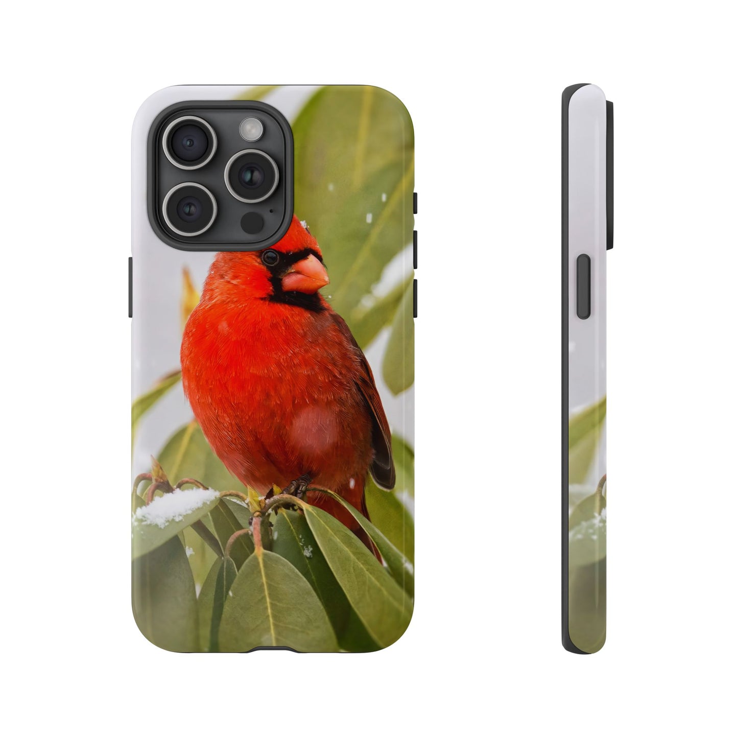 Male Cardinal - Tough Phone Case