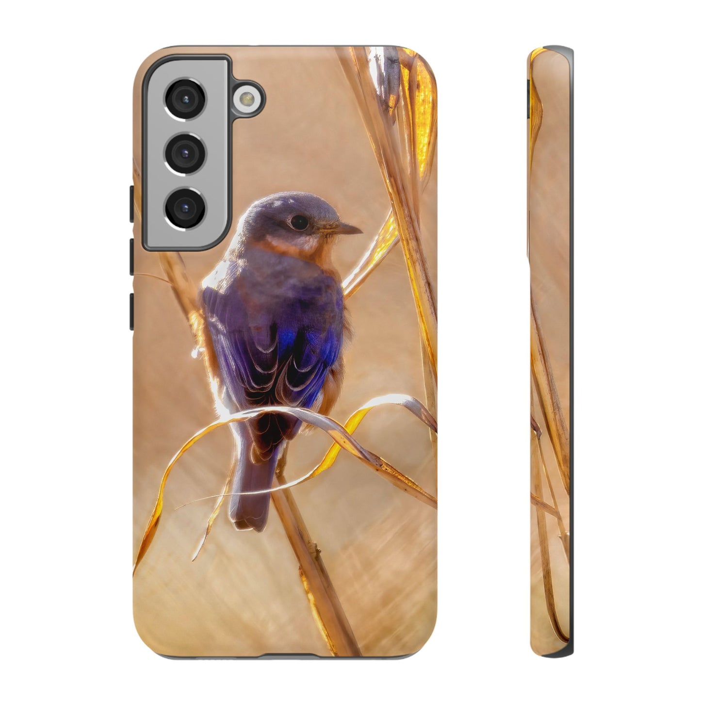 Eastern Bluebird - Tough Phone Case