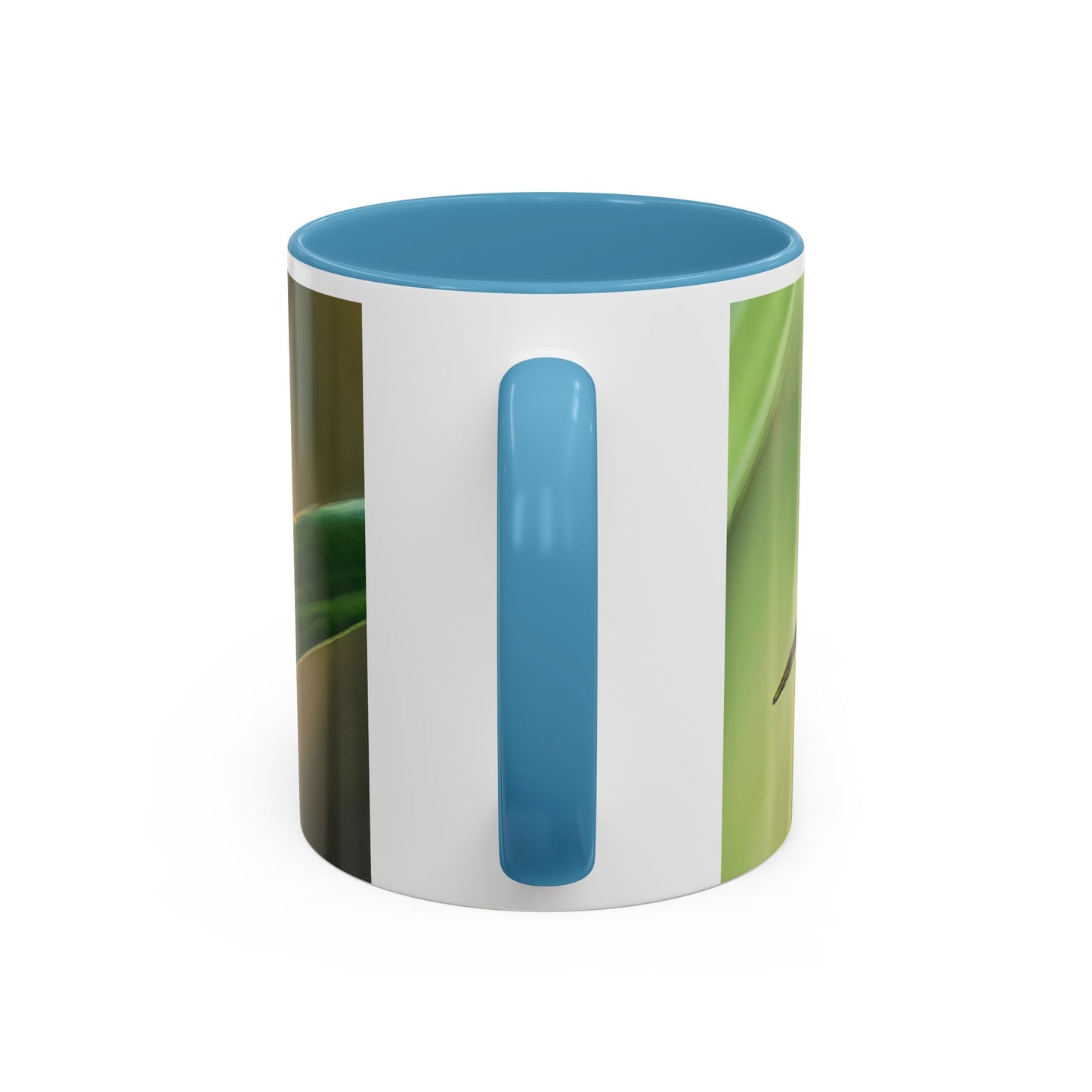 Dragonfly - Variable interior color mug