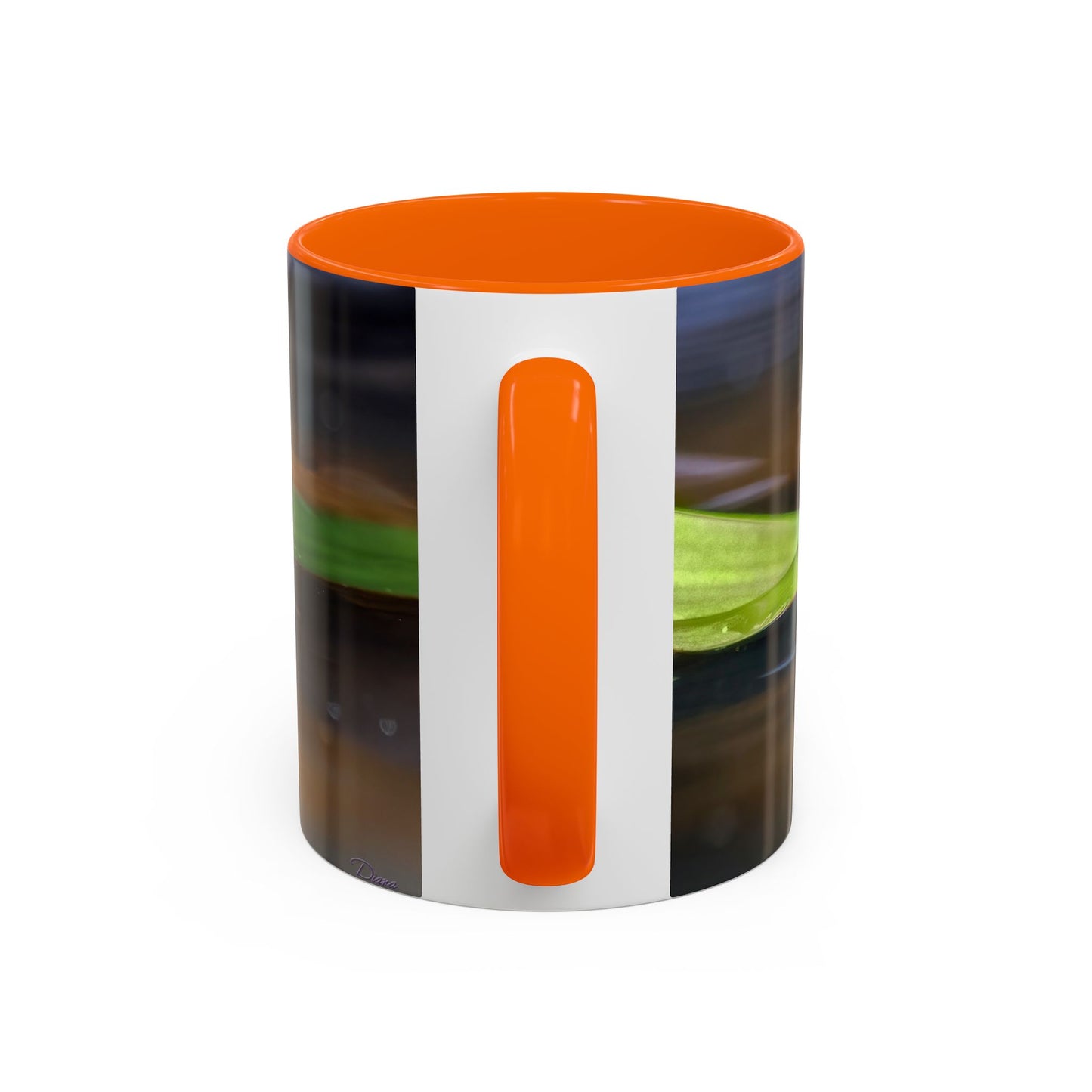 Red-Eyed Tree Frog - Variable color interior mug