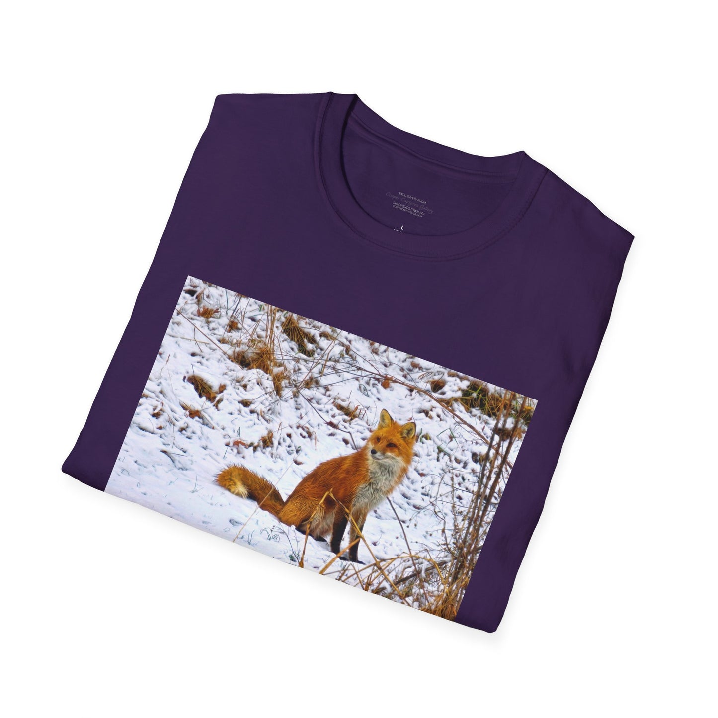 Red Fox in the snow, resting - T-shirt
