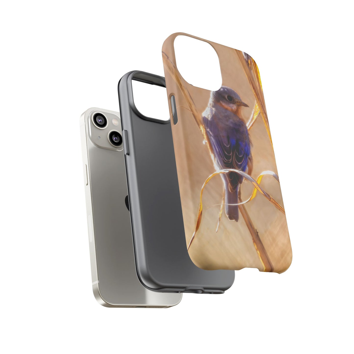Eastern Bluebird - Tough Phone Case