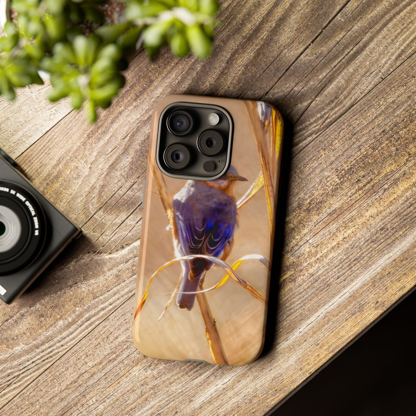 Eastern Bluebird - Tough Phone Case
