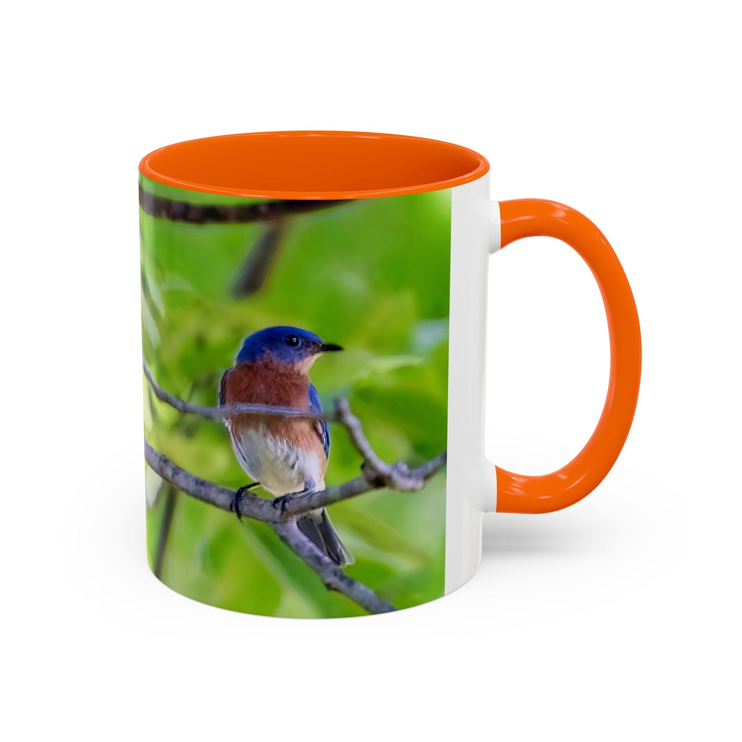 Bluebird pair - Variable color interior mug