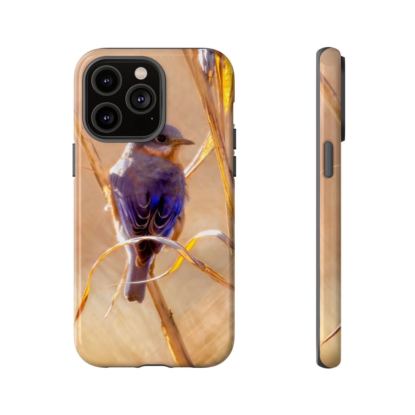 Eastern Bluebird - Tough Phone Case