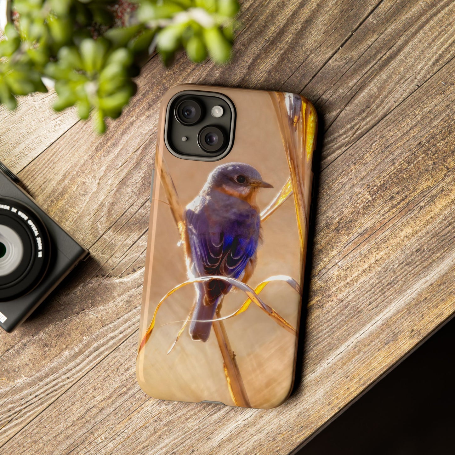 Eastern Bluebird - Tough Phone Case