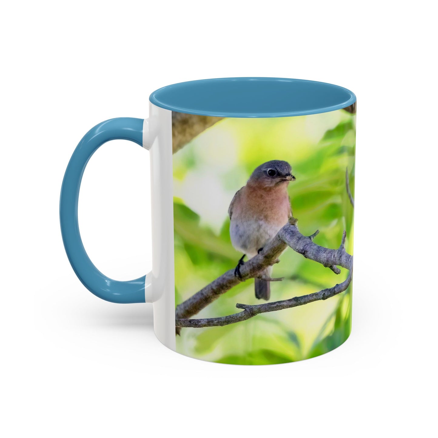 Bluebird pair - Variable color interior mug