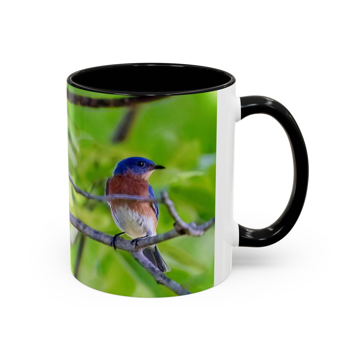 Bluebird pair - Variable color interior mug