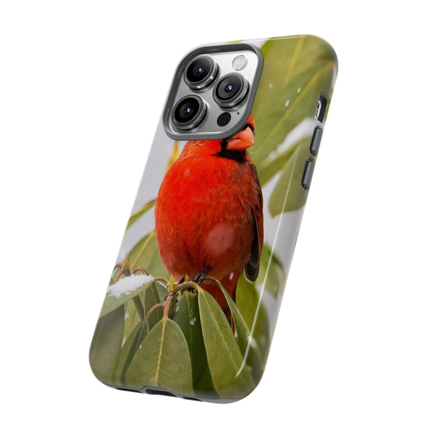 Male Cardinal - Tough Phone Case
