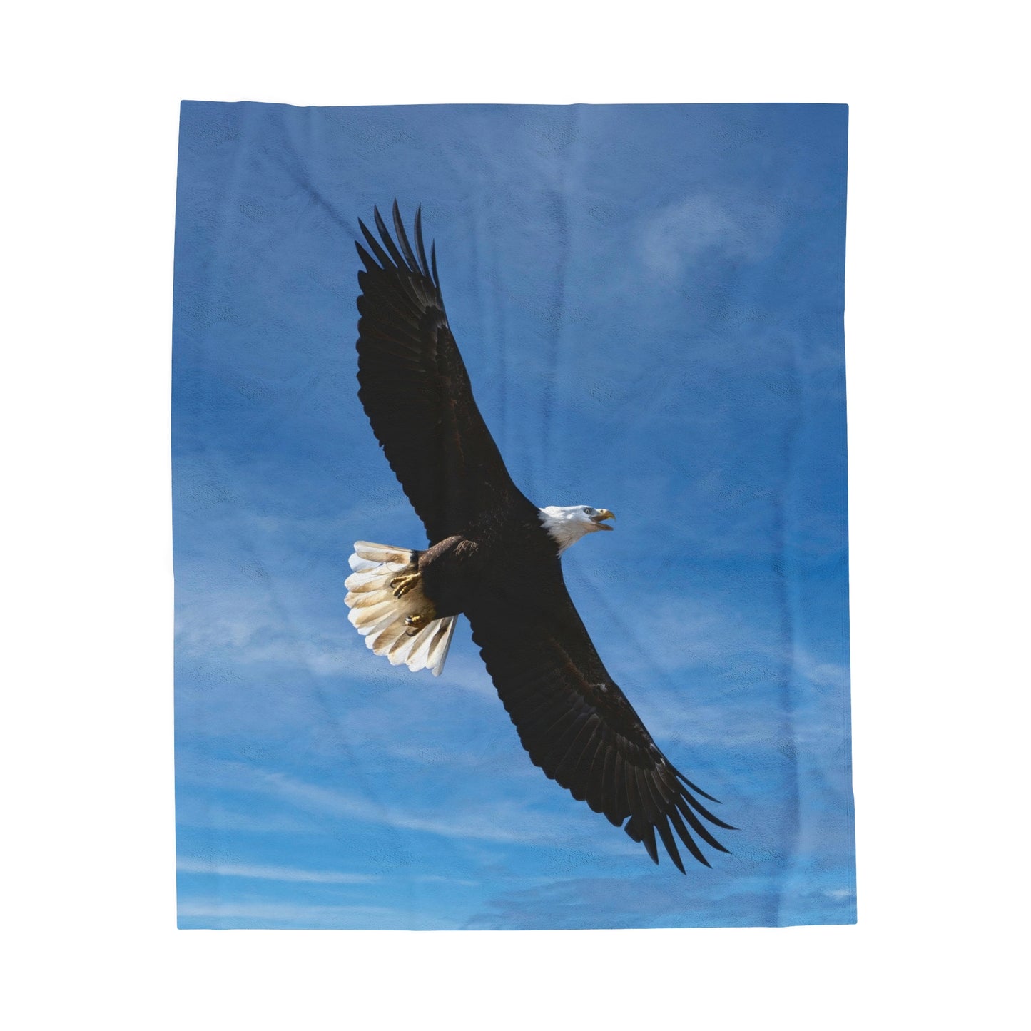 Eagle in Flight - Velvet Blanket