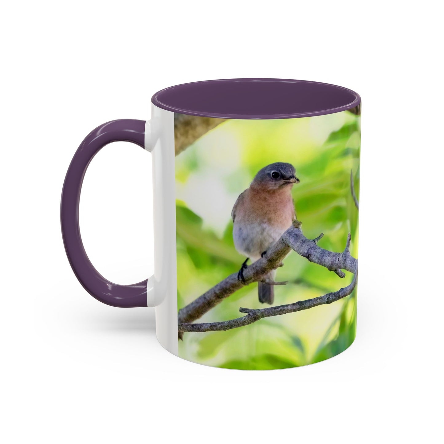 Bluebird pair - Variable color interior mug