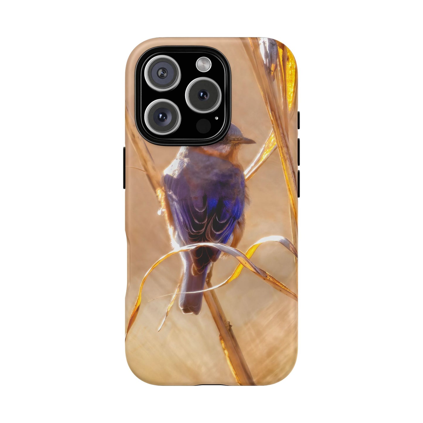 Eastern Bluebird - Tough Phone Case
