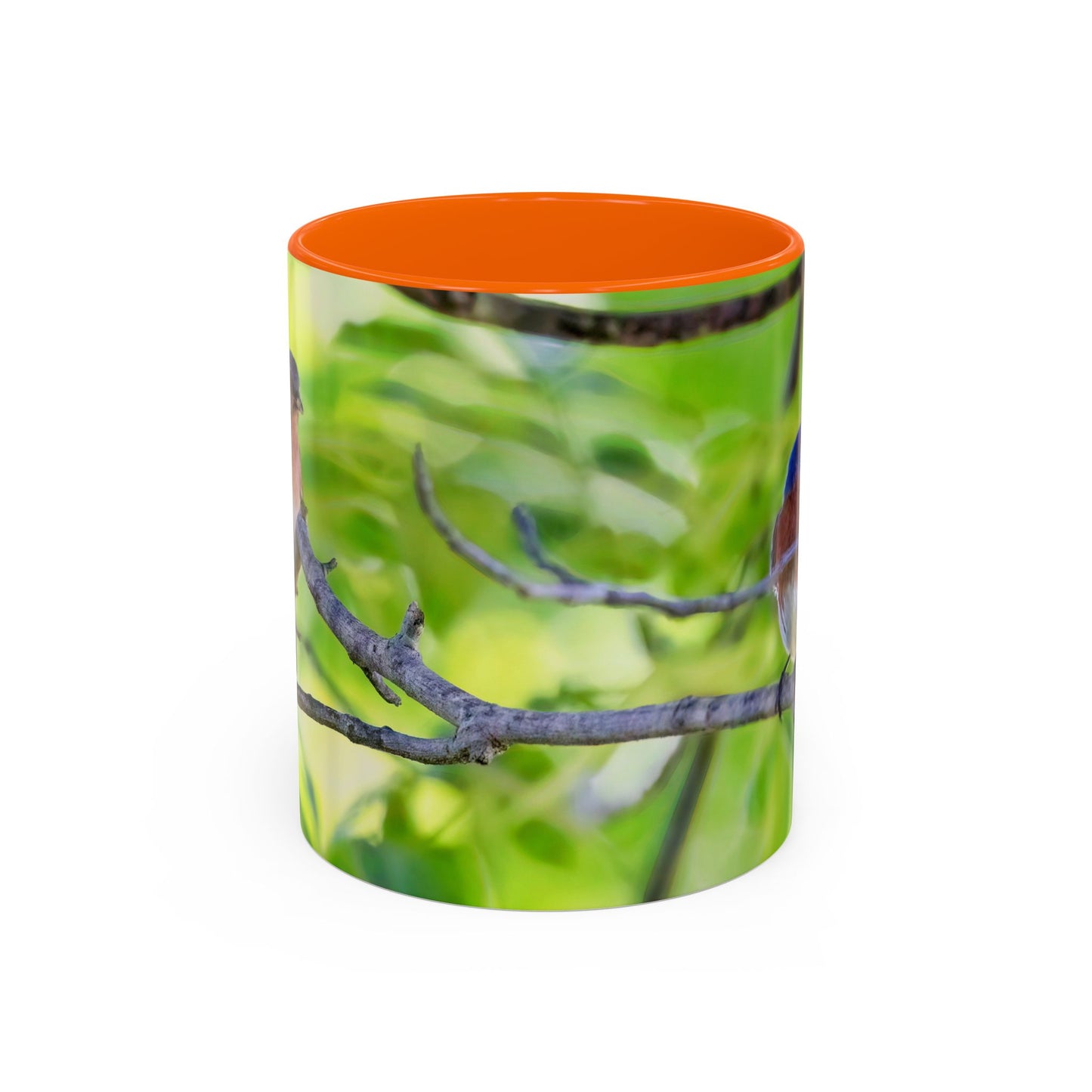 Bluebird pair - Variable color interior mug