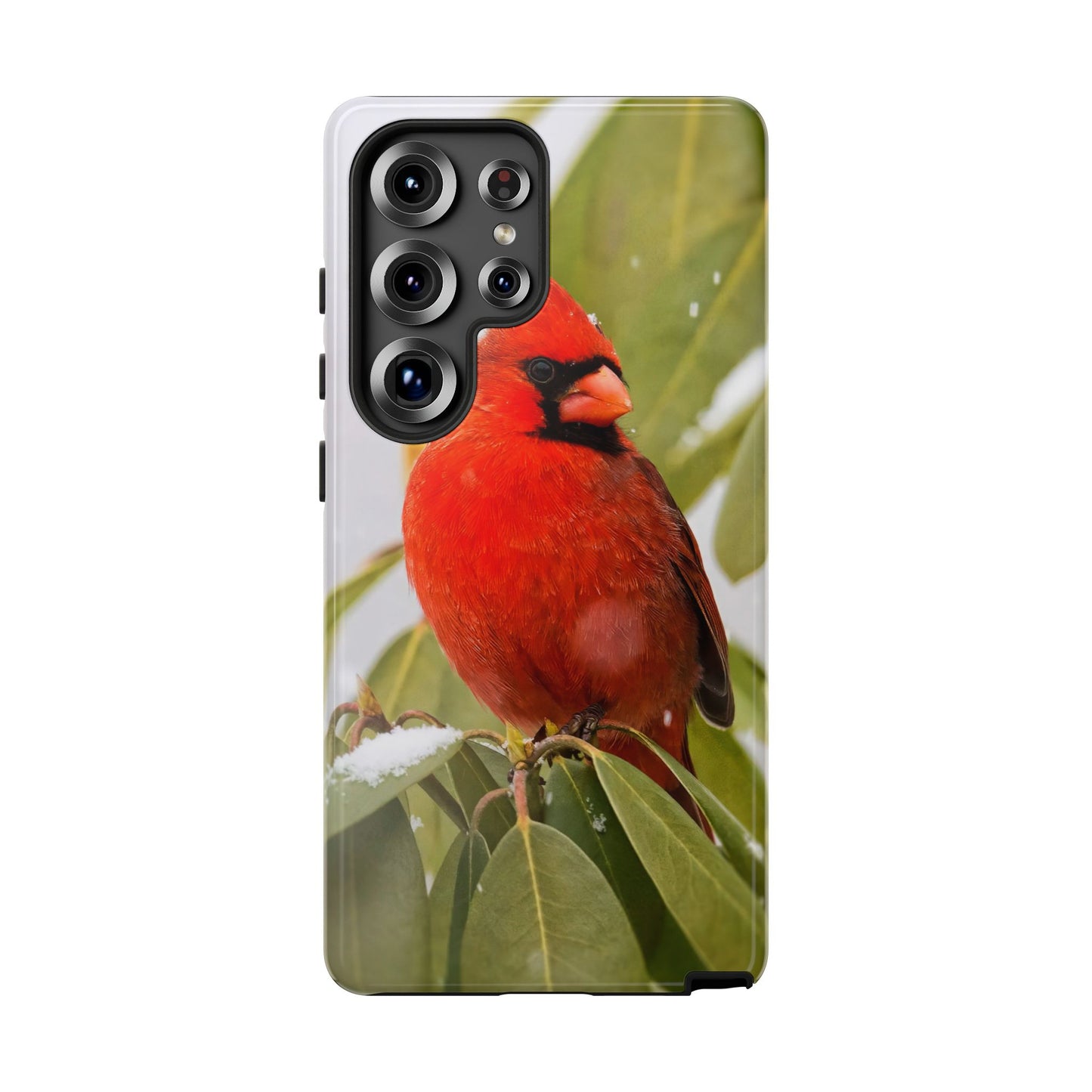 Male Cardinal - Tough Phone Case