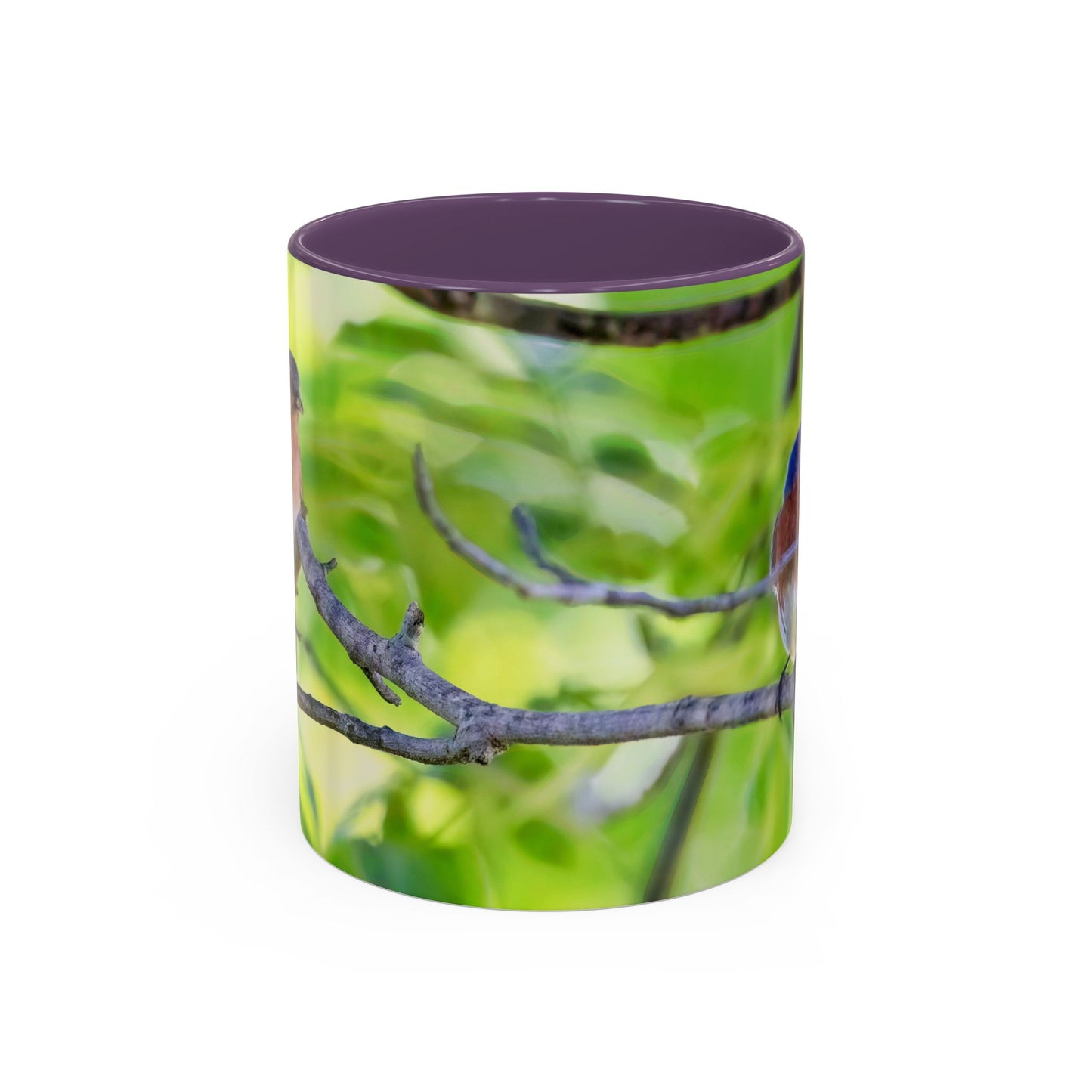 Bluebird pair - Variable color interior mug
