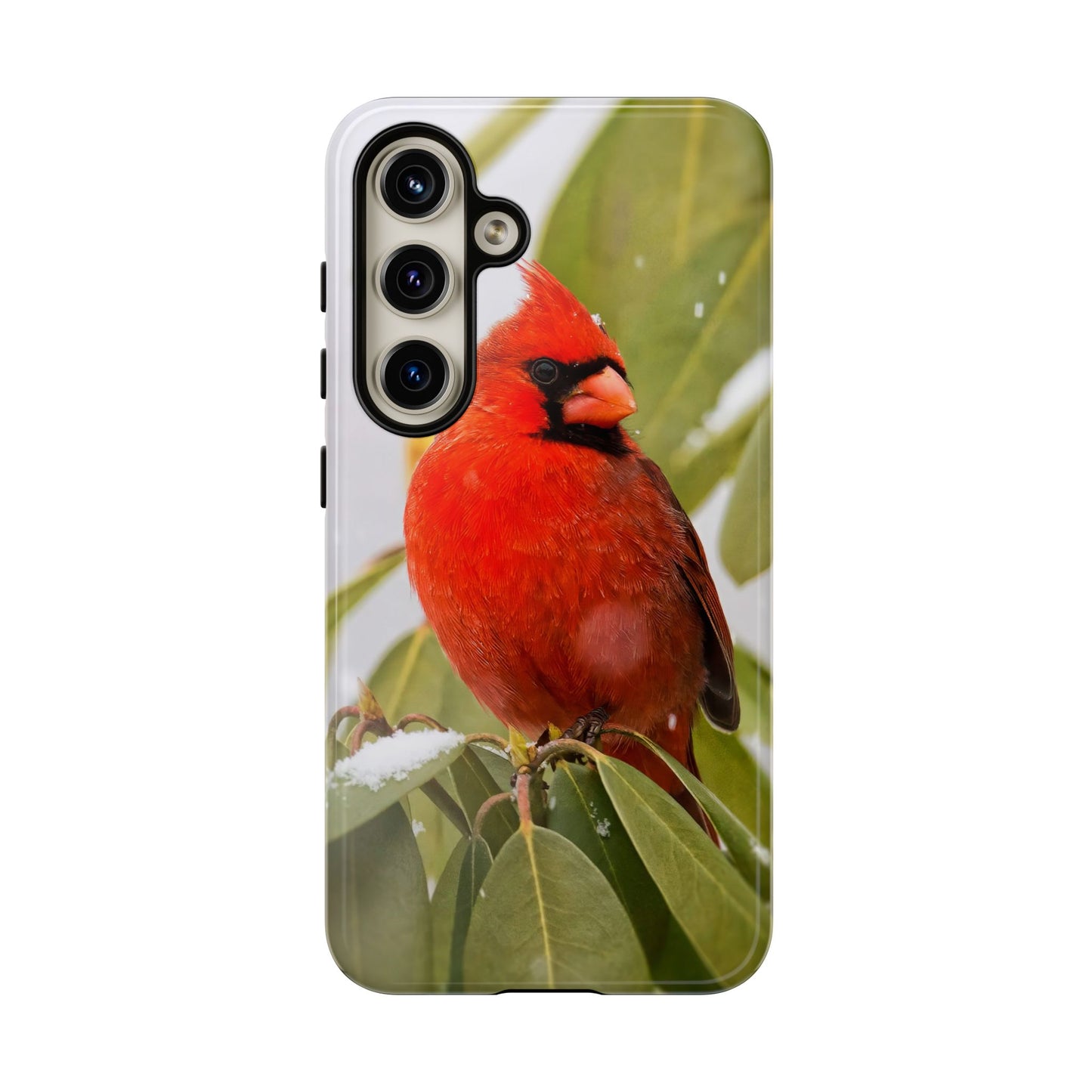Male Cardinal - Tough Phone Case