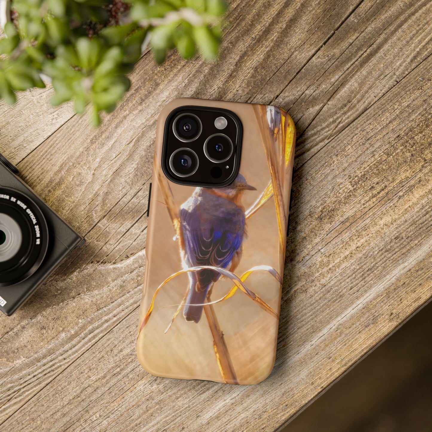 Eastern Bluebird - Tough Phone Case