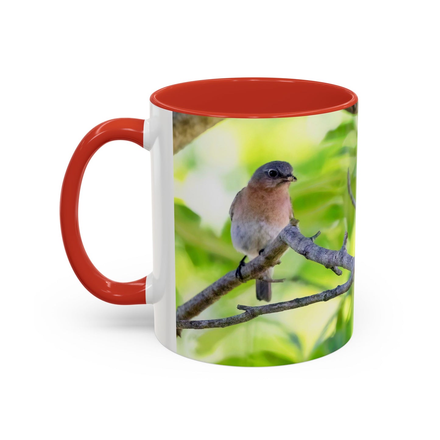 Bluebird pair - Variable color interior mug