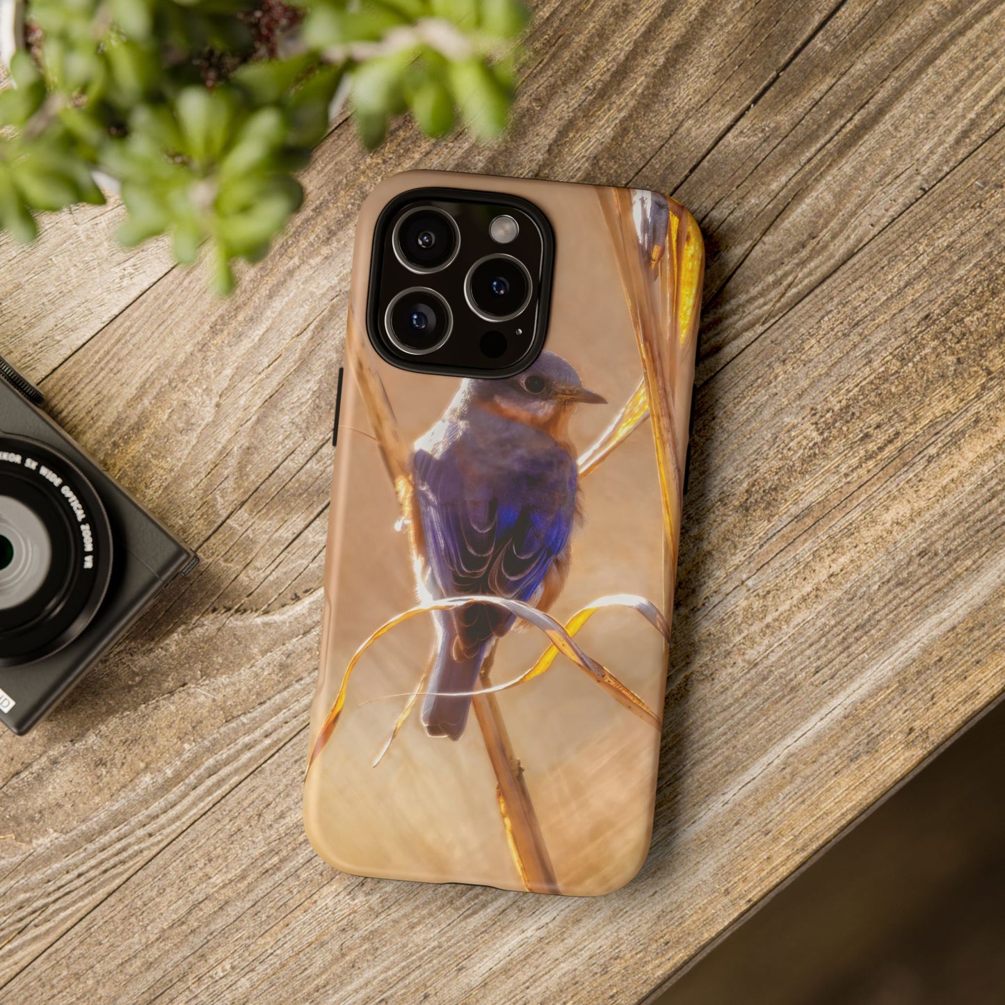 Eastern Bluebird - Tough Phone Case