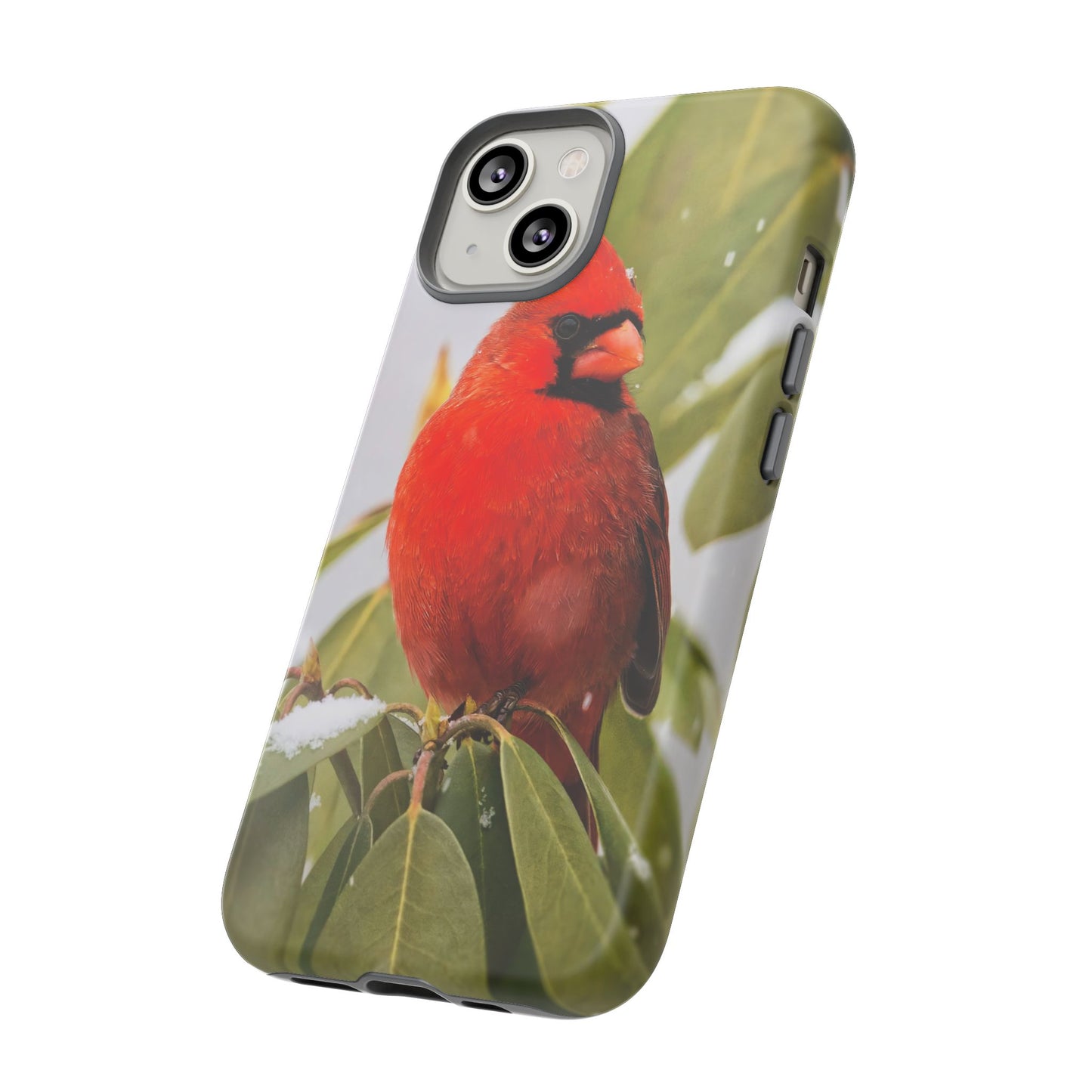 Male Cardinal - Tough Phone Case