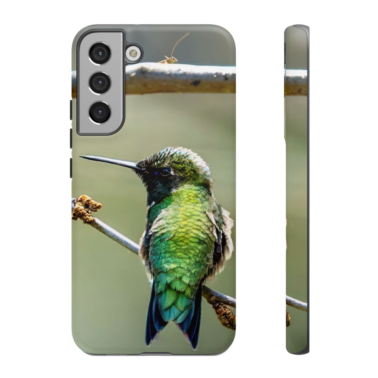 Hummingbird - Tough Phone Case