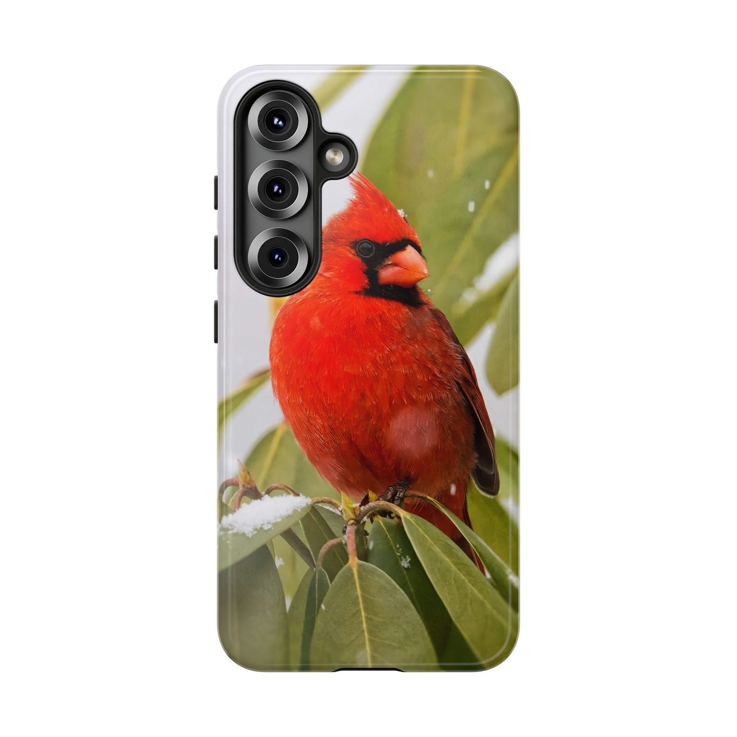 Male Cardinal - Tough Phone Case
