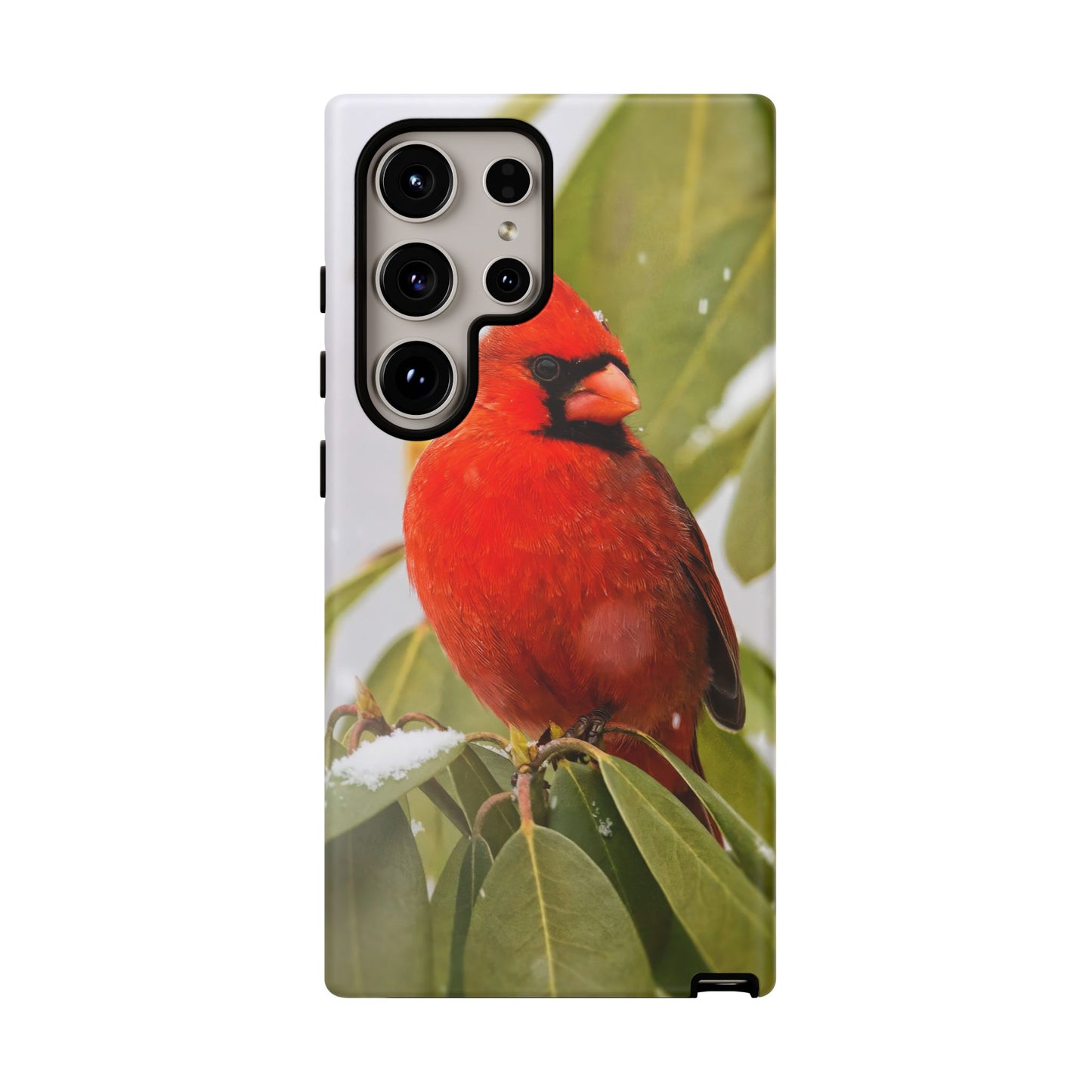 Male Cardinal - Tough Phone Case