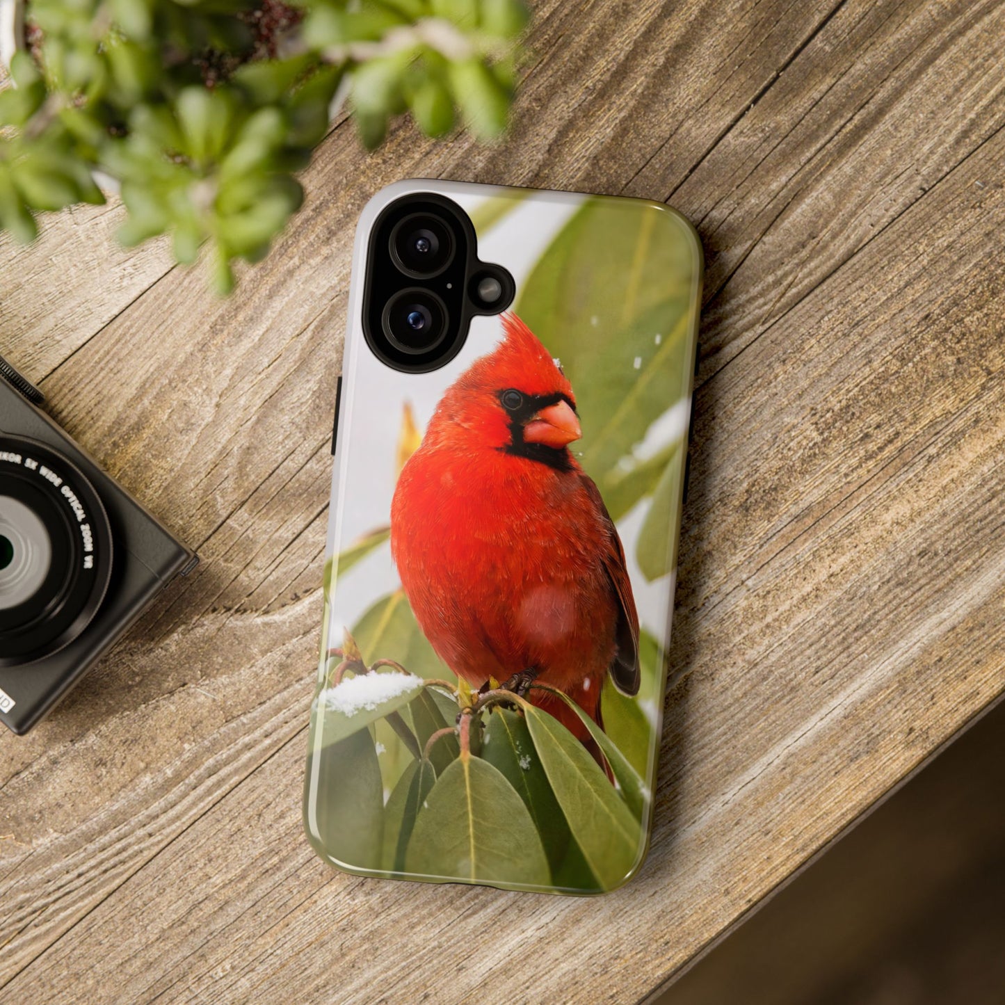 Male Cardinal - Tough Phone Case