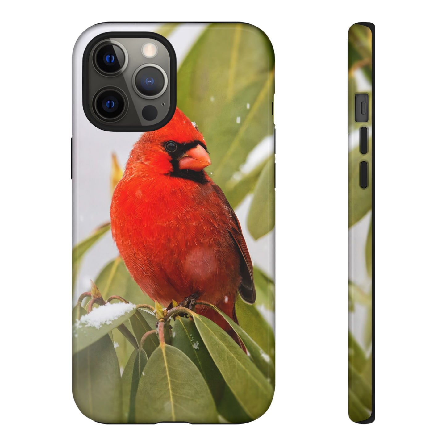 Male Cardinal - Tough Phone Case
