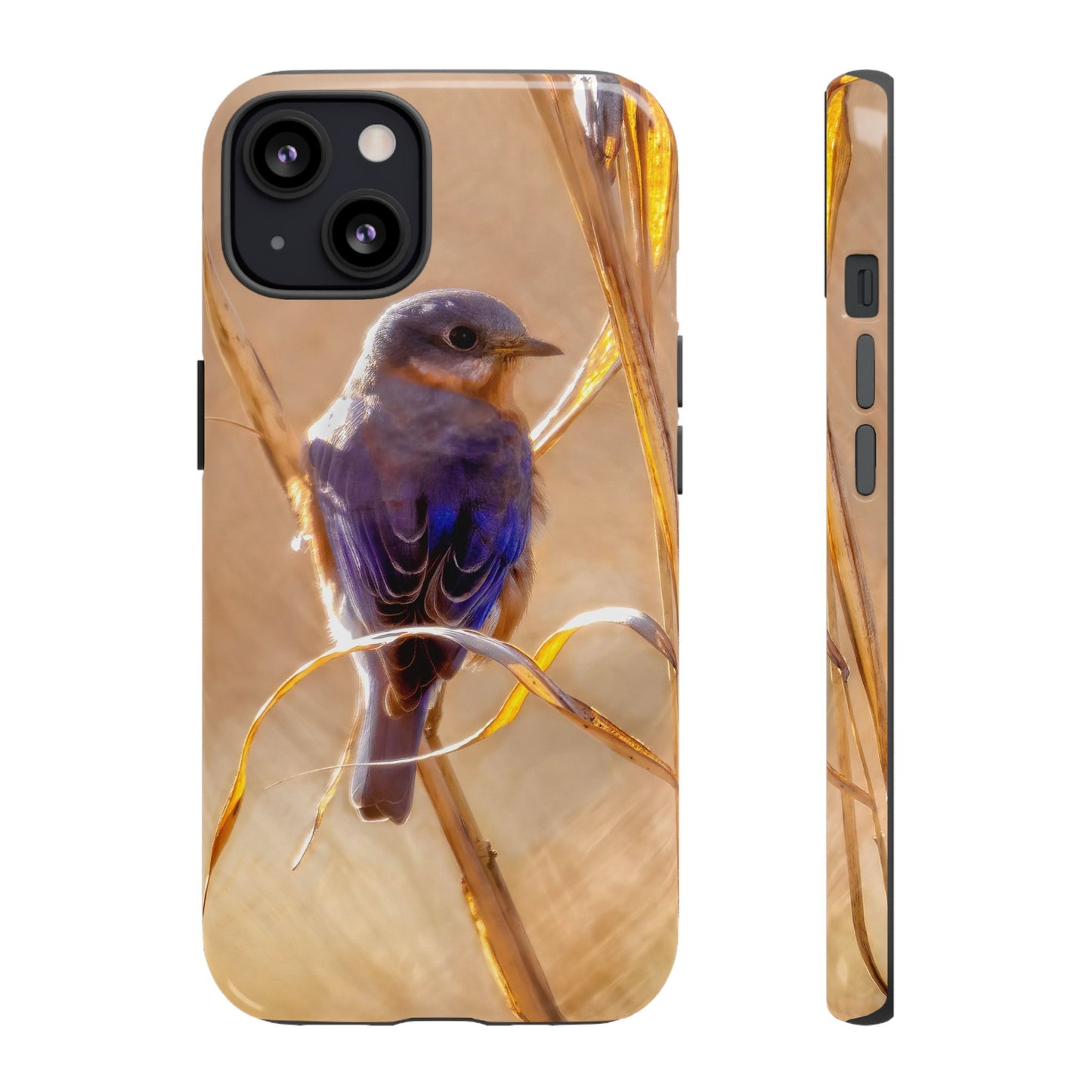 Eastern Bluebird - Tough Phone Case