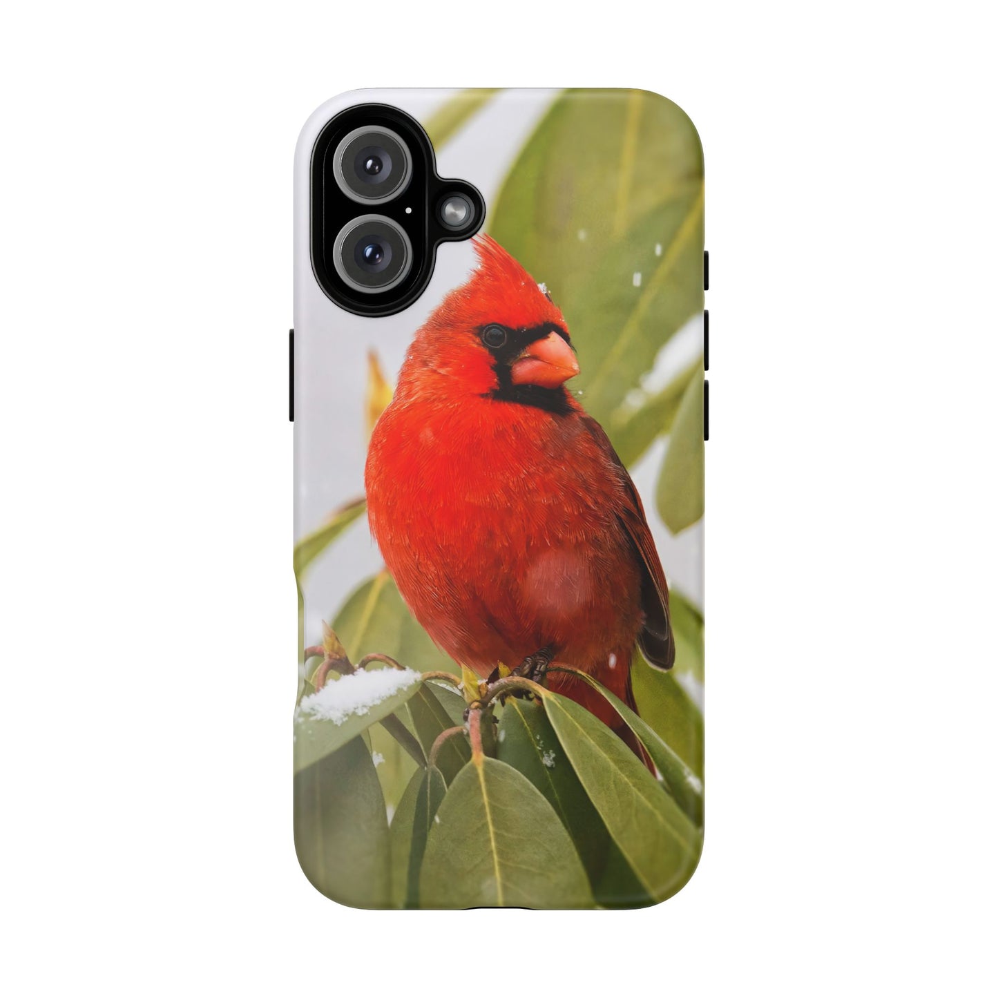 Male Cardinal - Tough Phone Case
