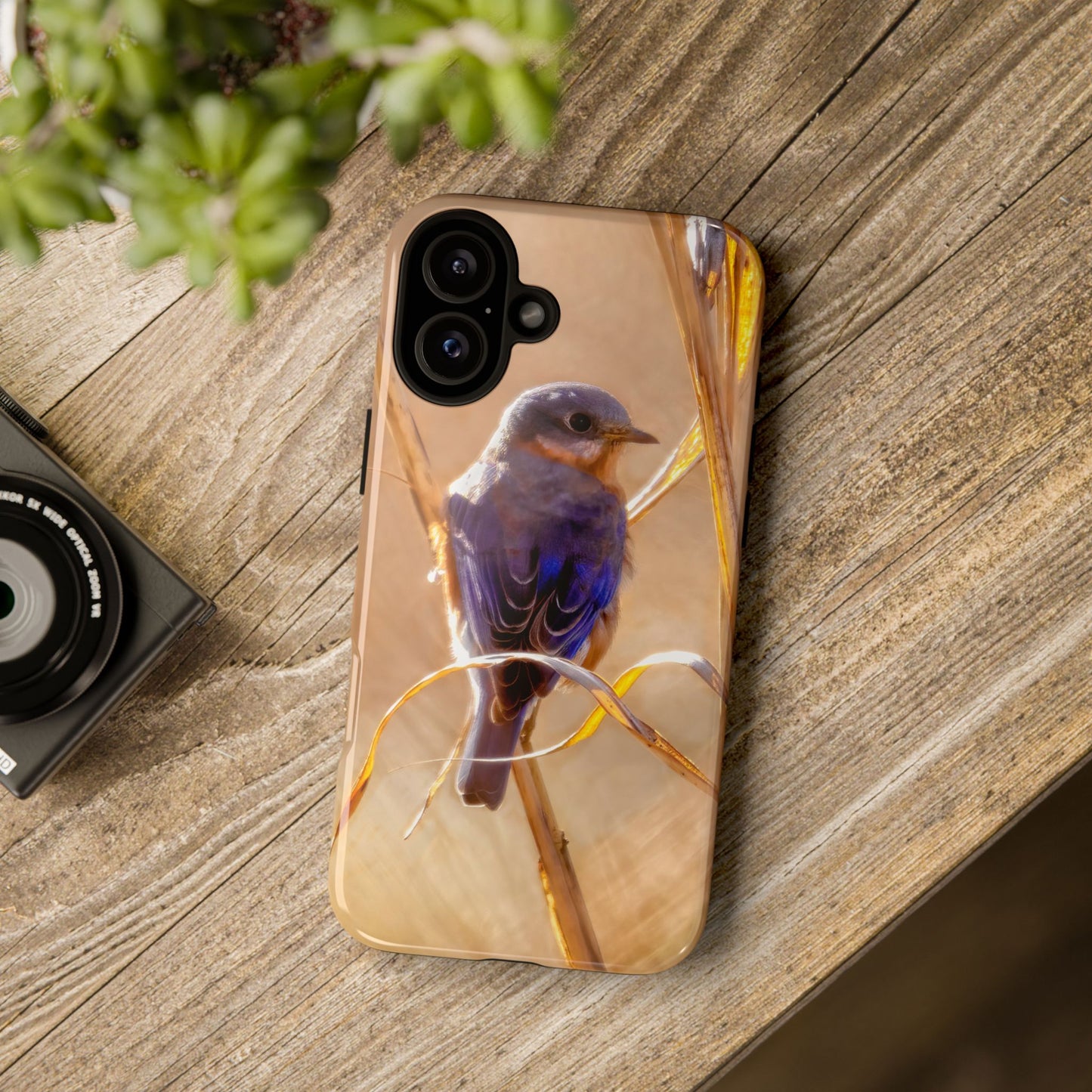 Eastern Bluebird - Tough Phone Case