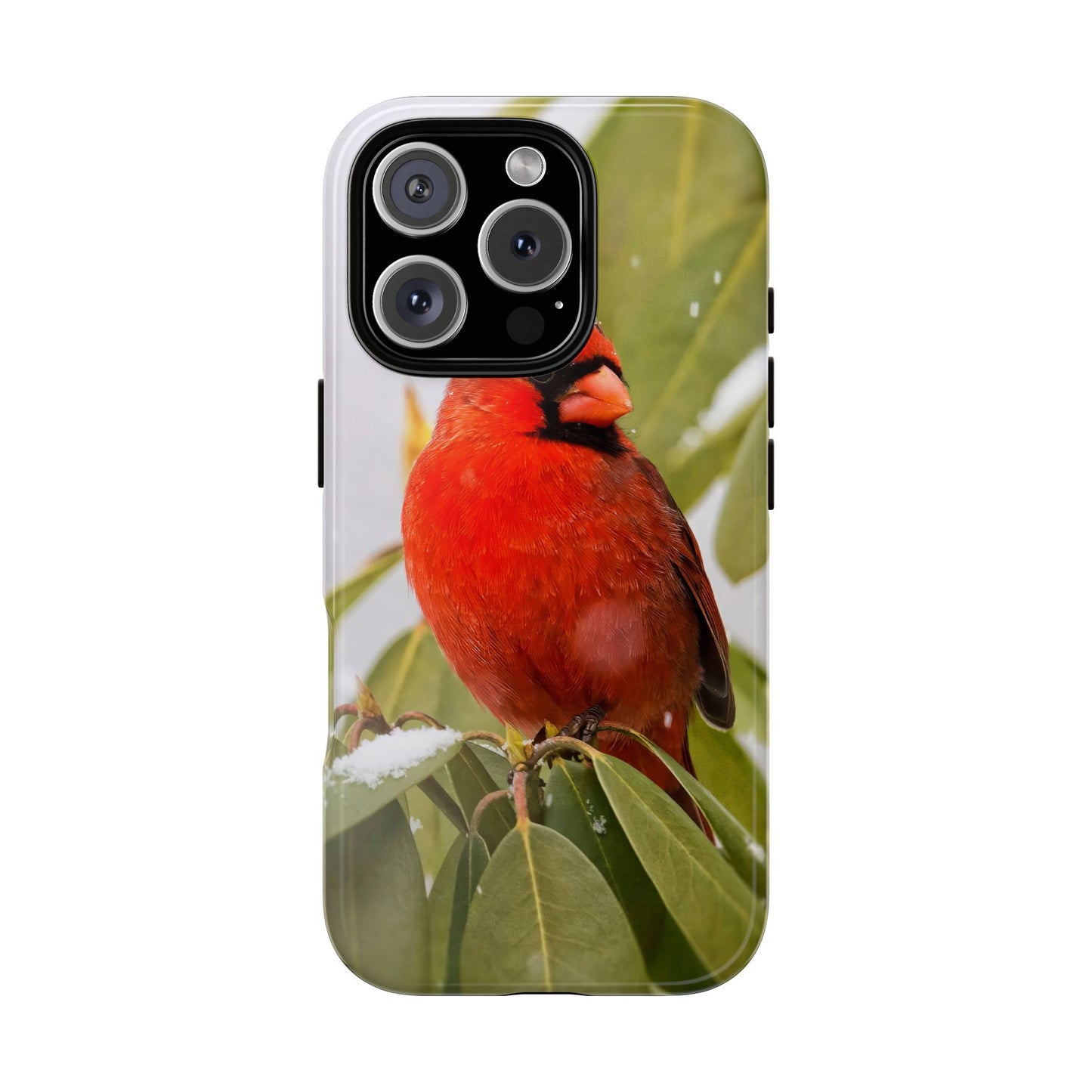 Male Cardinal - Tough Phone Case