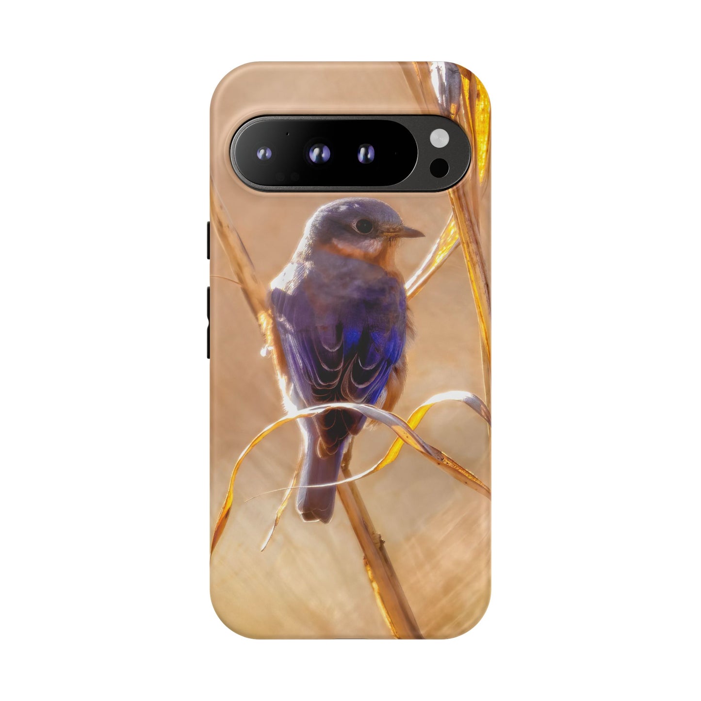 Eastern Bluebird - Tough Phone Case
