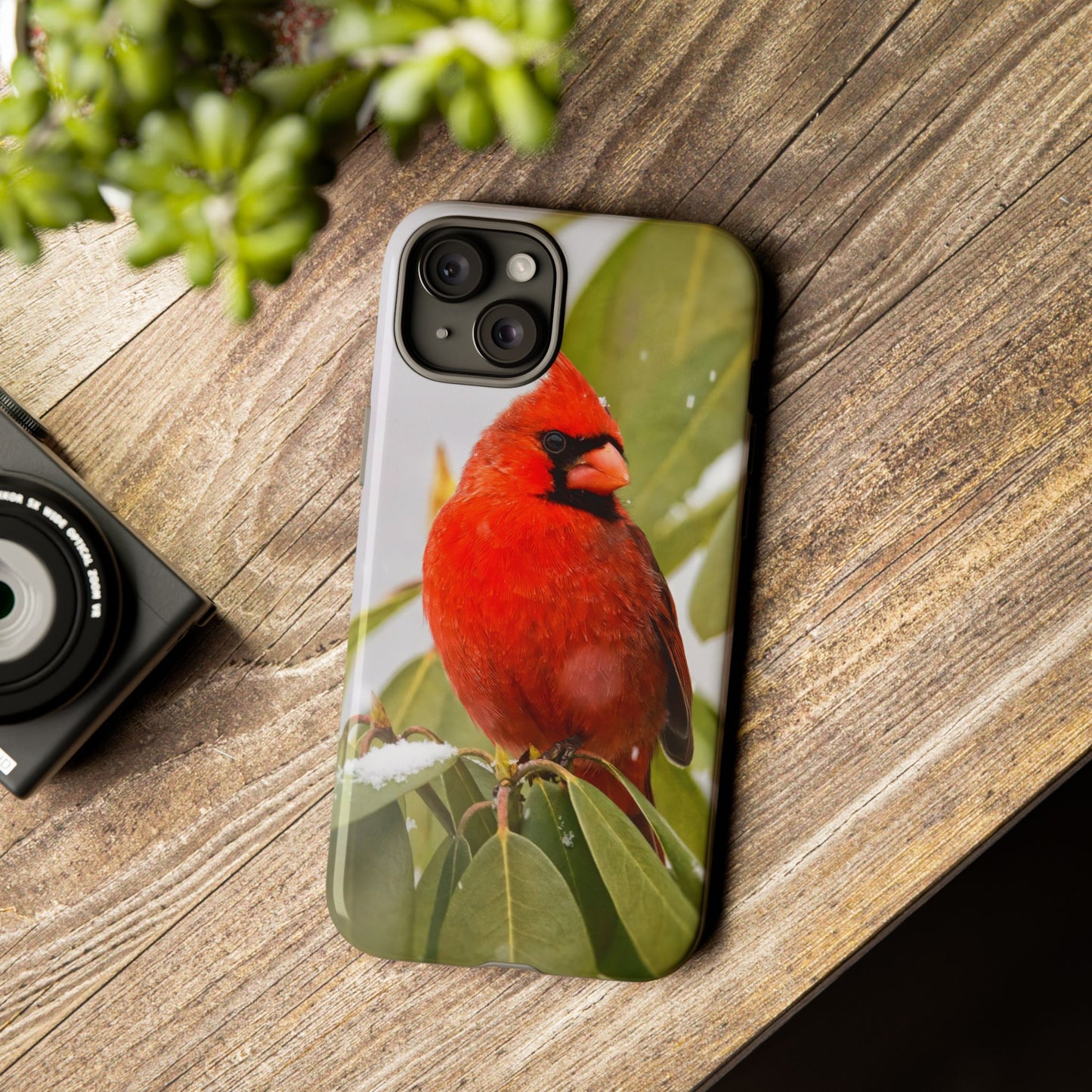 Male Cardinal - Tough Phone Case