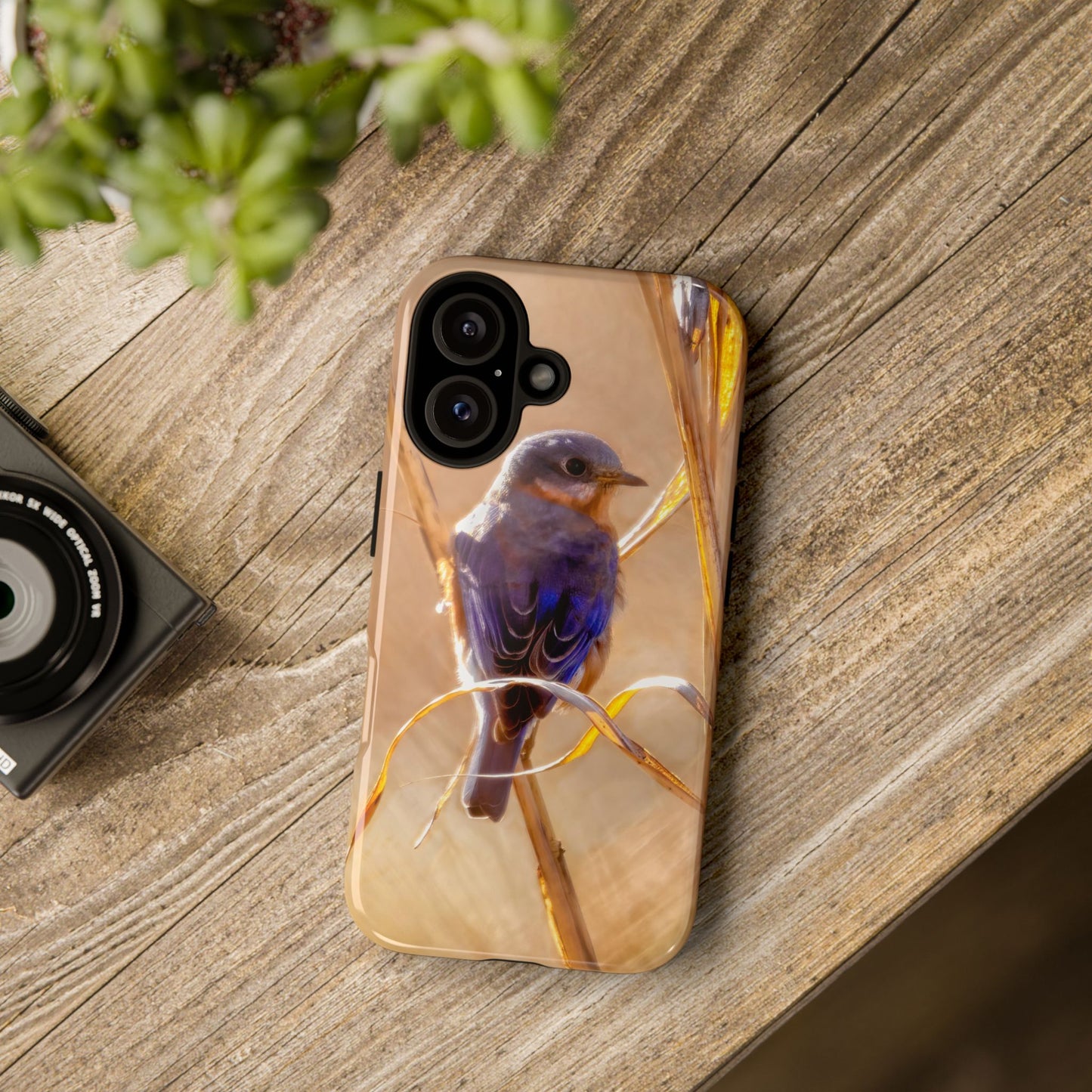 Eastern Bluebird - Tough Phone Case