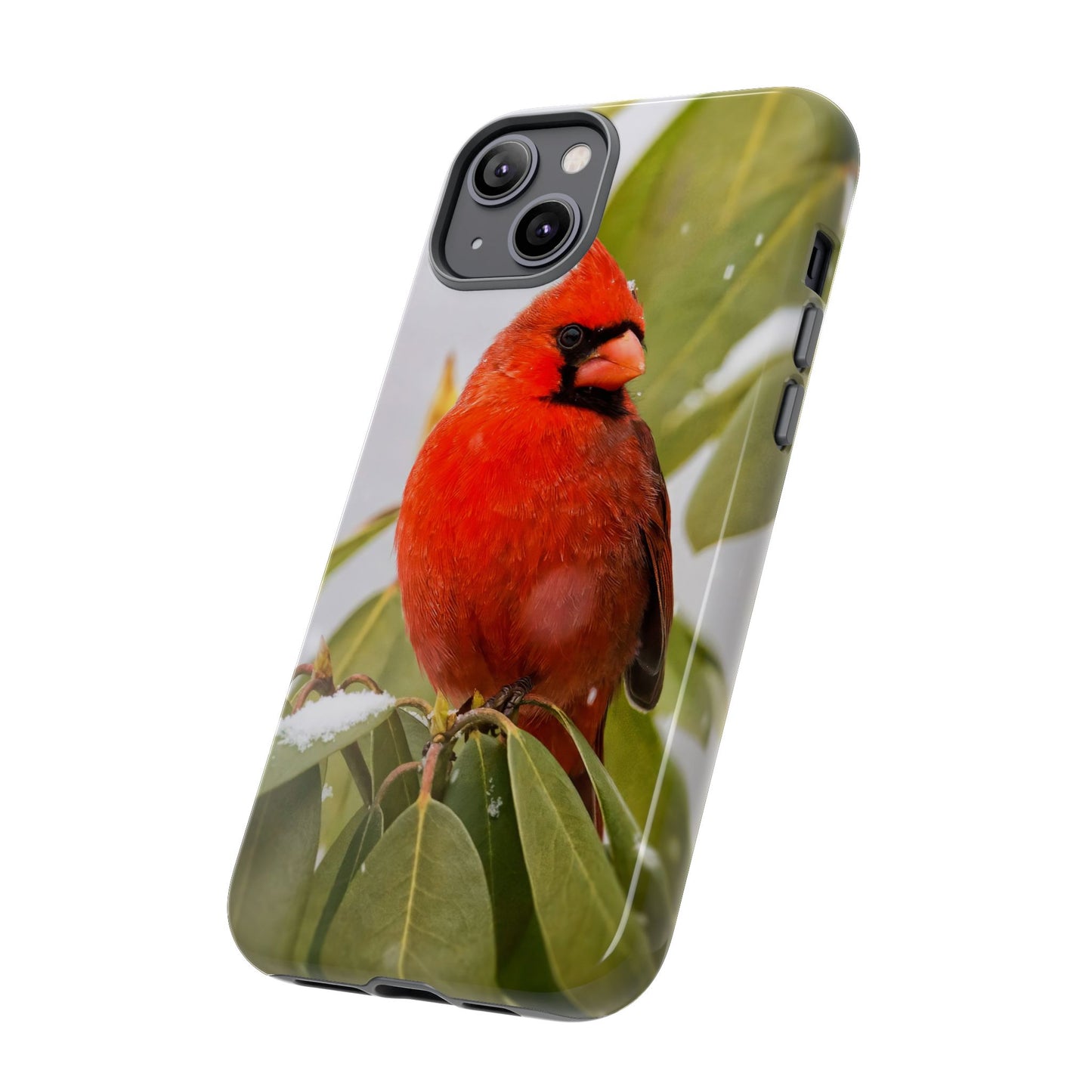 Male Cardinal - Tough Phone Case