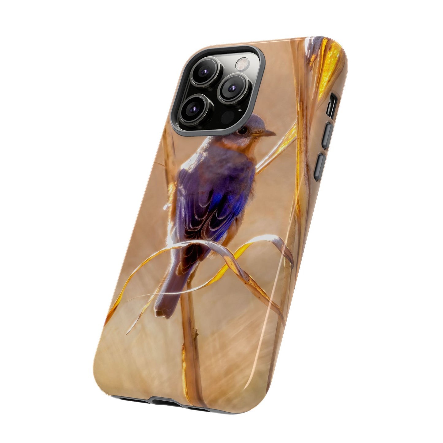 Eastern Bluebird - Tough Phone Case