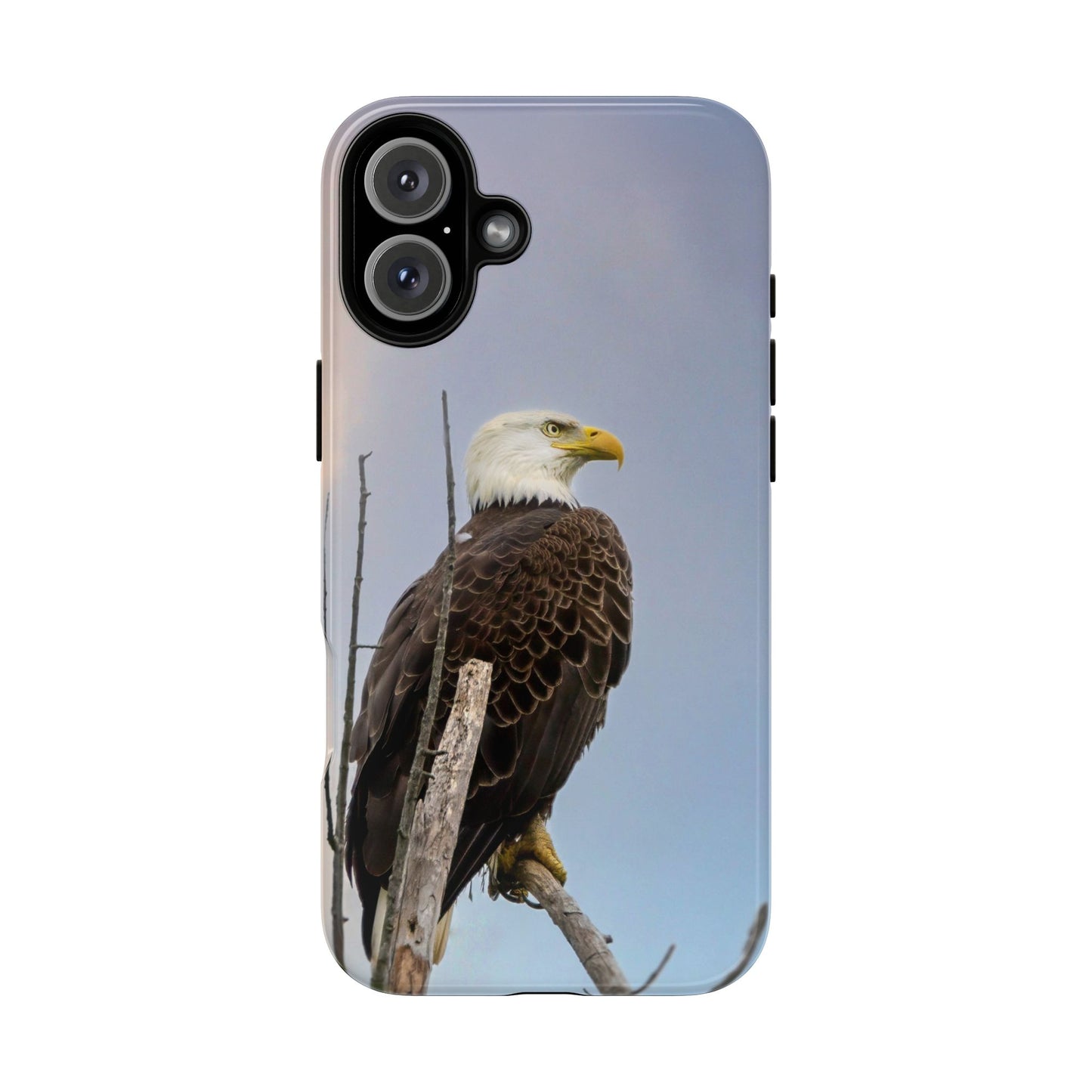 American Bald Eagle - Tough Phone Case