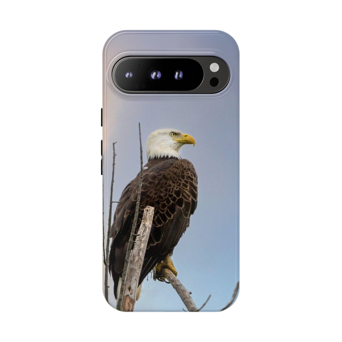 American Bald Eagle - Tough Phone Case
