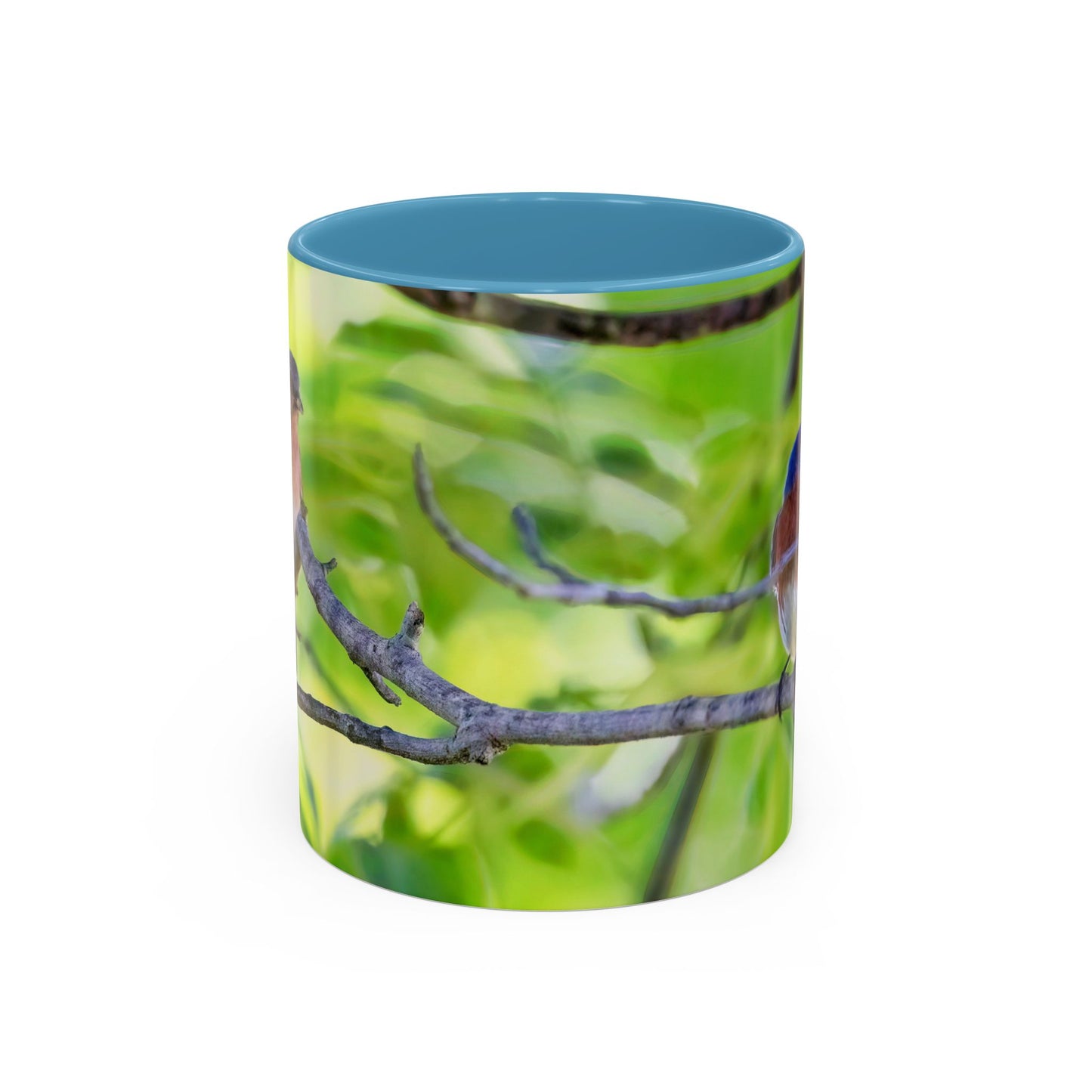 Bluebird pair - Variable color interior mug