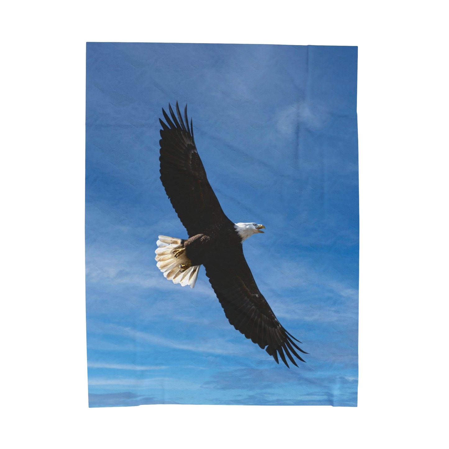 Eagle in Flight - Velvet Blanket