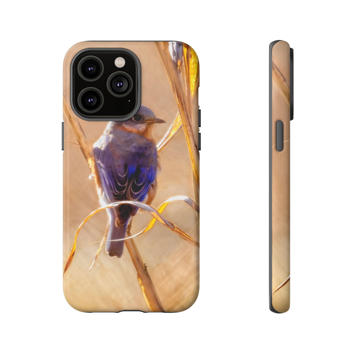 Eastern Bluebird - Tough Phone Case