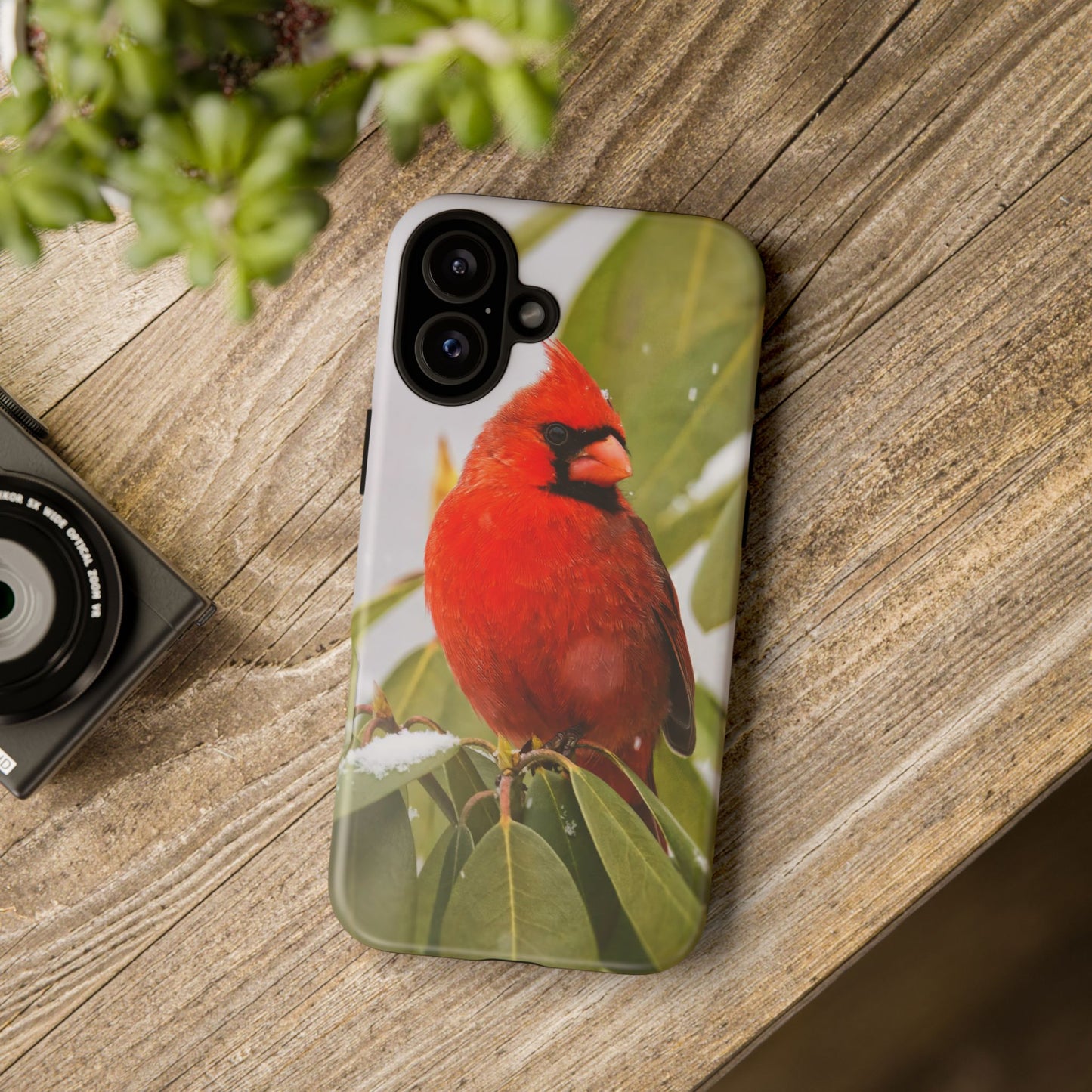 Male Cardinal - Tough Phone Case