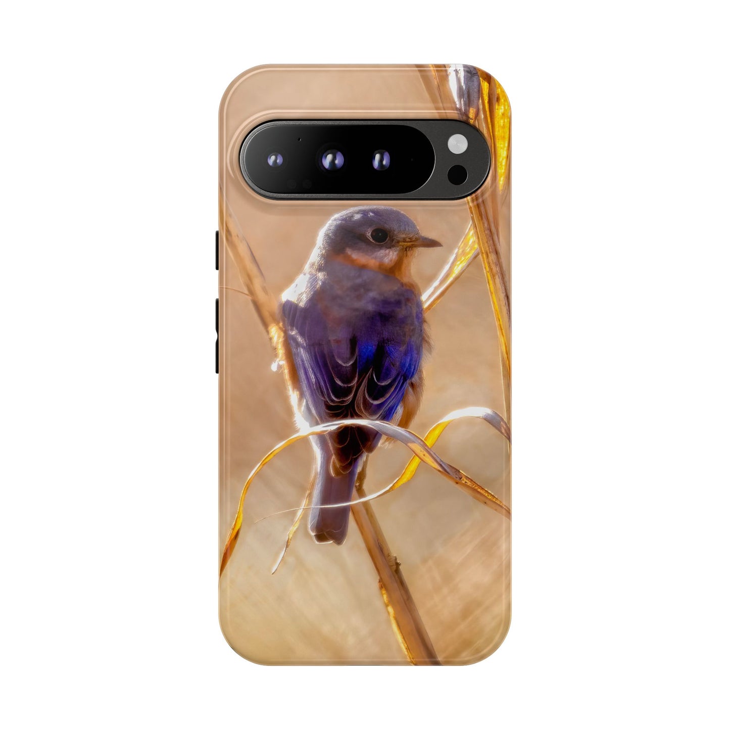 Eastern Bluebird - Tough Phone Case