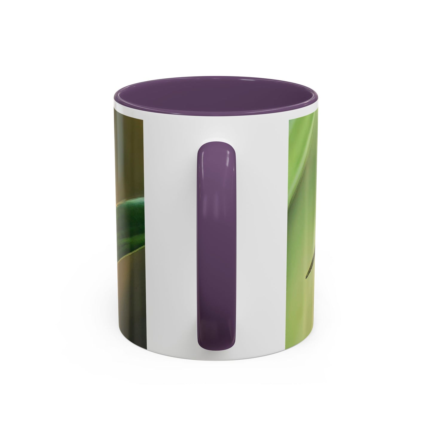 Dragonfly - Variable interior color mug