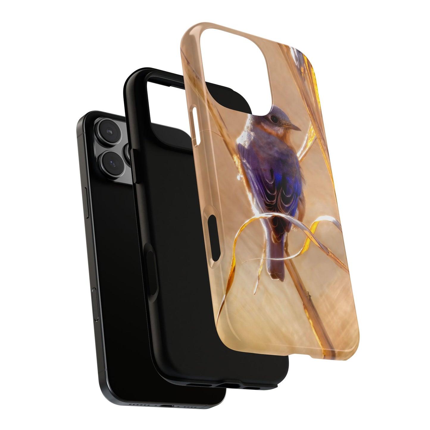 Eastern Bluebird - Tough Phone Case