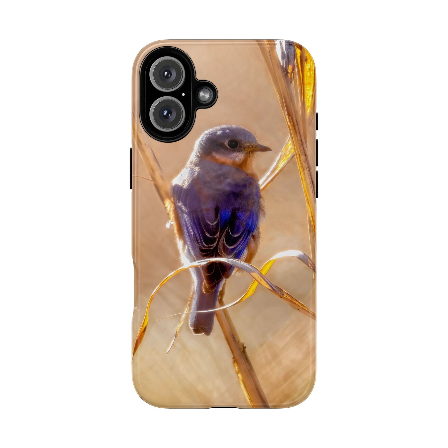 Eastern Bluebird - Tough Phone Case