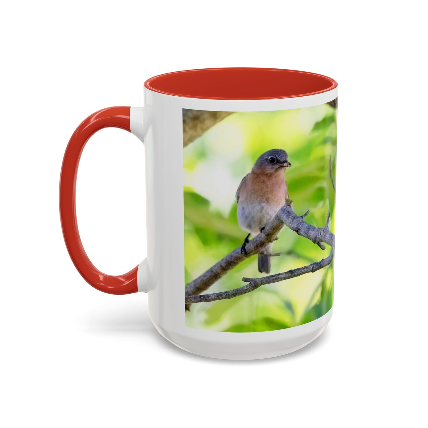 Bluebird pair - Variable color interior mug