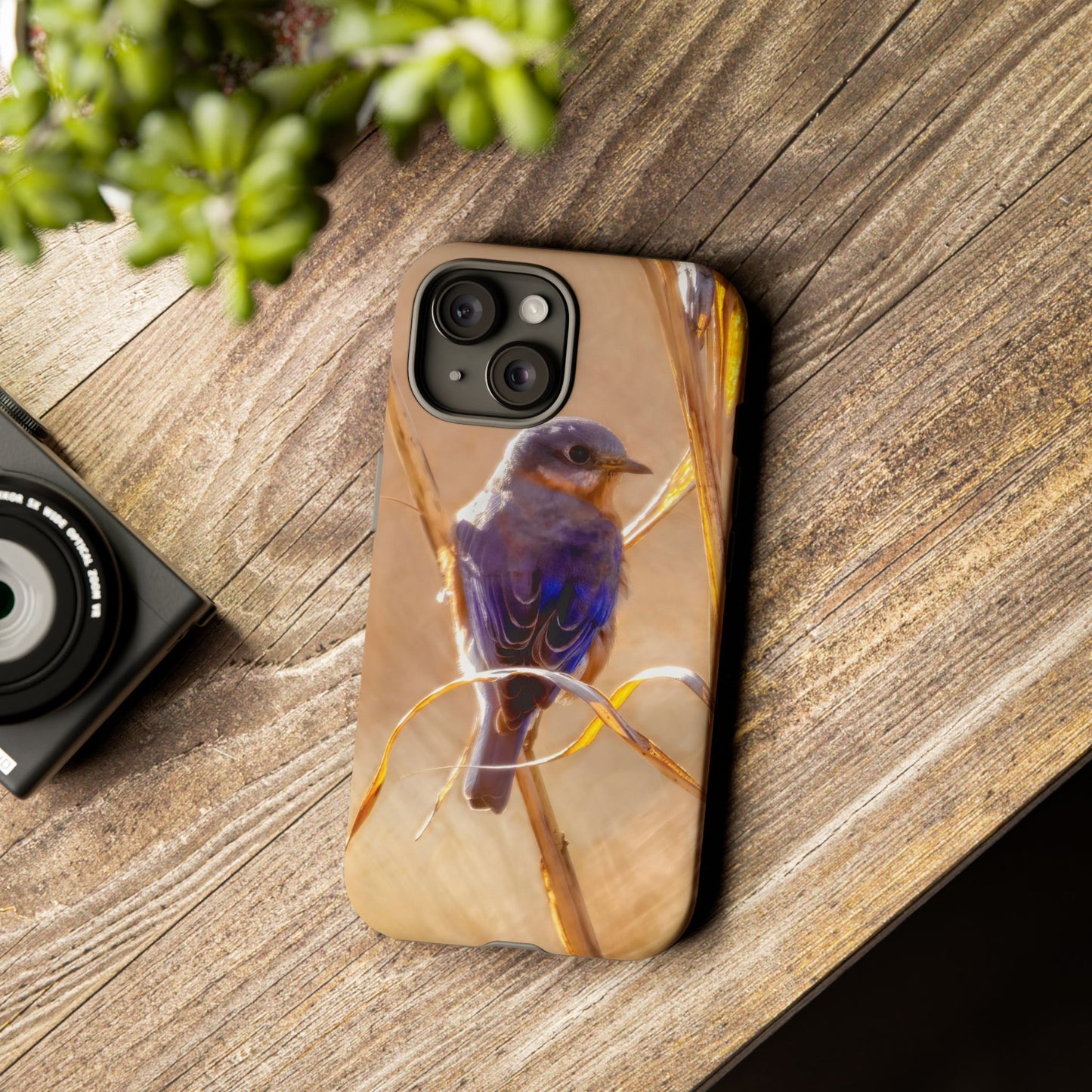 Eastern Bluebird - Tough Phone Case